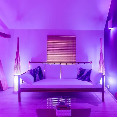 L'améthyste Love hôtel